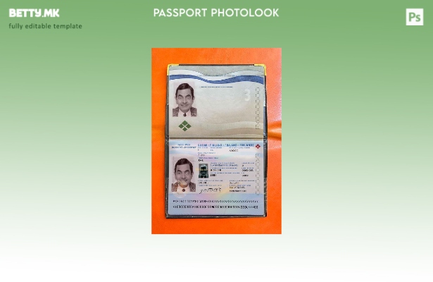 Шаблон за изглед на слика за пасош на Финска во модерен стил 1